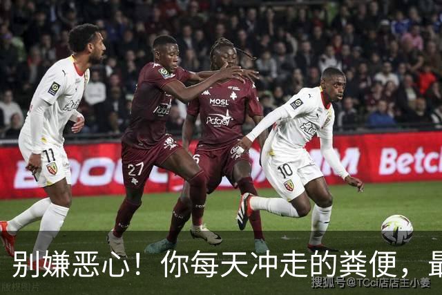 别嫌恶心！你每天冲走的粪便，最后竟全藏进城市这些秘密角落里！